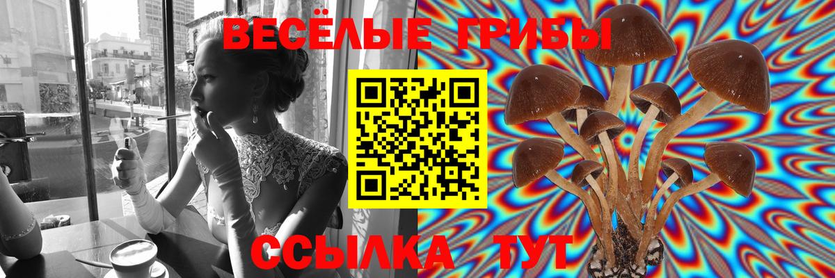 Галлюциногенные грибы Psilocybe Изобильный